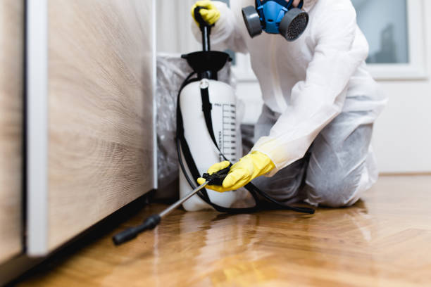 Best Commercial Pest Control Services  in Kapolei, HI