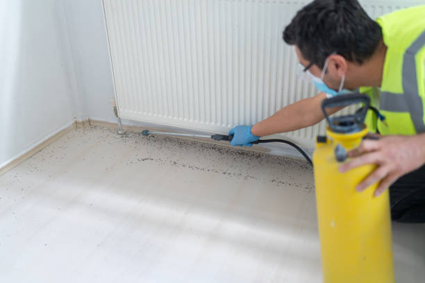 Best Termite Control Services  in Kapolei, HI